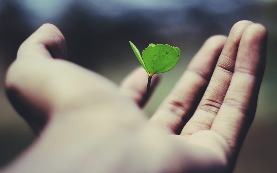 How your accountant supports business development