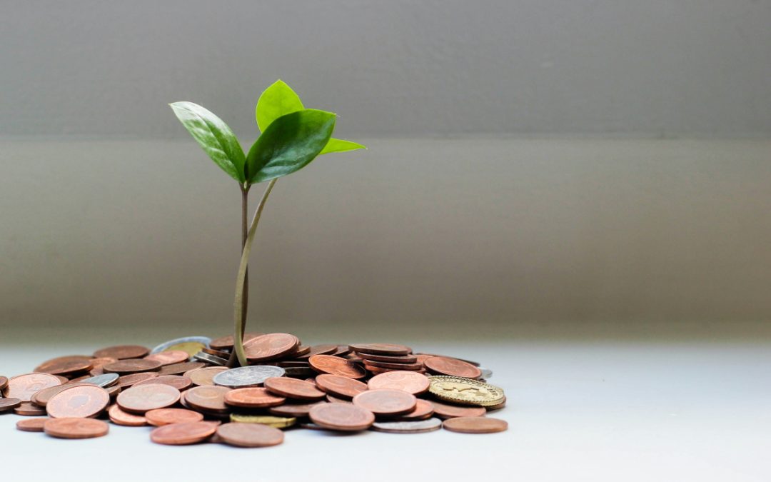 The Fundamentals of a Business Budget